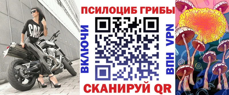 Псилоцибиновые грибы Cubensis  Терек 